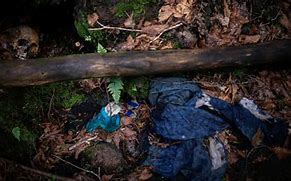 Image result for Aokigahara Dead Bodies