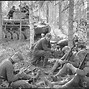 Image result for 6th SS Mountain Division Nord