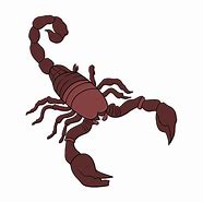 Image result for Scorpion Drawings