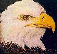 Image result for American Bald Eagle Artwork