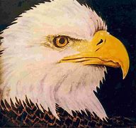 Image result for American Bald Eagle Painting