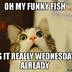 Image result for Funny Wednesday Sarcastic Quotes