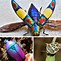 Image result for Coolest Bugs in the World