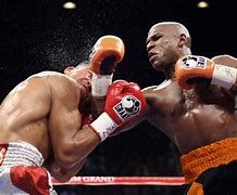Image result for Mayweather