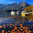 Image result for Autumn Travel in Italy