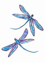 Image result for Cool Dragonfly Art