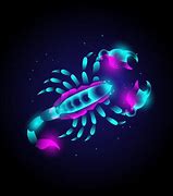 Image result for Neon Scorpion