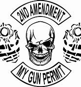 Image result for Gun Control 2nd Amendment