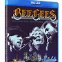 Image result for Odessa Bee Gees