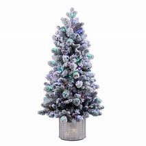 Image result for Flocked Christmas Tree with Colored Lights