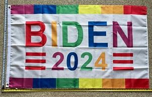 Image result for Biden Flag