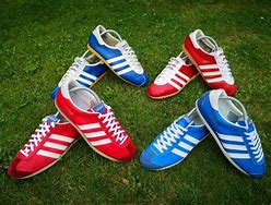 Image result for Adidas Classic Suede