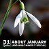 Image result for January Calendar Sayings