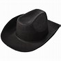 Image result for Elton John Cowboy Hat