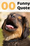 Image result for Short Humorous Daily Quotes