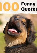 Image result for Silly Super Funny Short Quotes