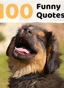 Image result for Short Funny Quotes for the Day