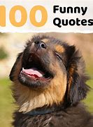 Image result for Being Silly Quotes