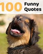 Image result for Funniest Quotes and Sayings