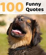 Image result for Witty Clever Quotes and Sayings