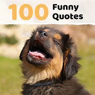 Image result for Funny Funny Quotes