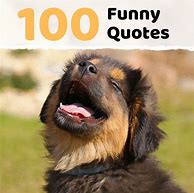 Image result for Is It Funny Quotes