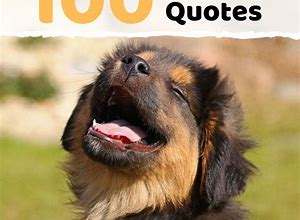 Image result for Have Fun Quotes Funny