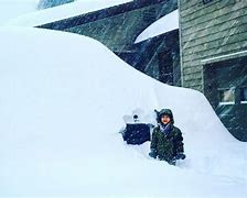 Image result for New York State Snow