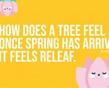 Image result for Jokes About Spring