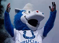 Image result for Indiana Colts Mascot