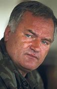 Image result for General Ratko Mladic