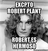 Image result for Robert Plant Meme