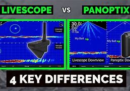 Image result for Garmin Panoptix vs Livescope