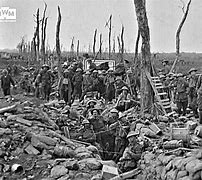 Image result for Passchendaele WWI