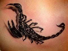 Image result for Scorpion Tattoos for Men