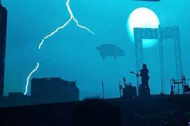 Image result for Roger Waters Comfortably Numb the Band