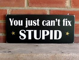 Image result for You Can't Fix Stupidity