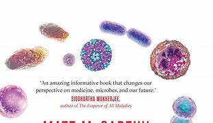 Image result for Superbugs Effects