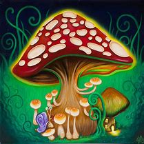 Image result for Mushrooms Psychedelic