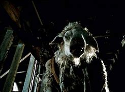 Image result for Black Sheep Horror Movie