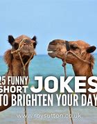 Image result for Brighten Someone's Day Funny
