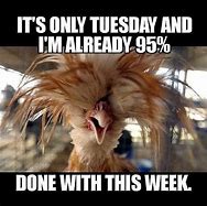 Image result for Funny Quotes About Tuesday