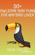 Image result for Visual Pun Bird