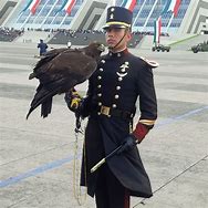 Image result for Saludando Military Uniforms
