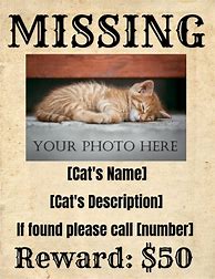 Image result for Printable Wanted Poster