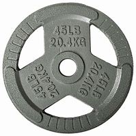 Image result for 45 Weight Plate