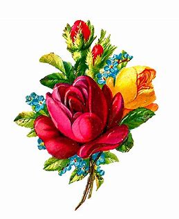 Image result for clip art roses
