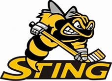 Image result for troy sting hockey