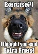 Image result for Funny Animal Thoughts of the Day