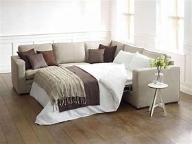 Image result for Sectional Sofa with Pull-out Bed
